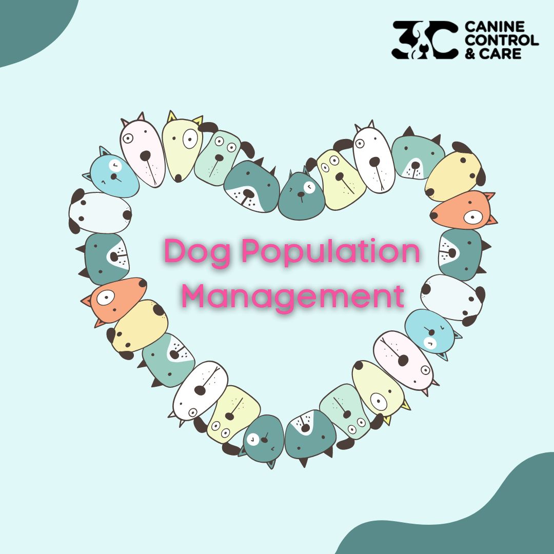 Rabies-free Countries – Lot to Learn for India – Canine Control & Care